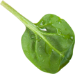 left3-1.png